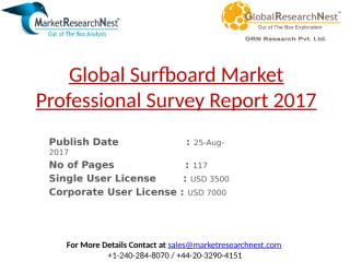 Global Surfboard Market Professional Survey Report 2017.pptx
